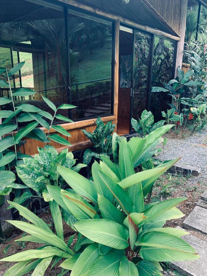 Epic Adventure Lodge San Miguel  Ngoại thất bức ảnh
